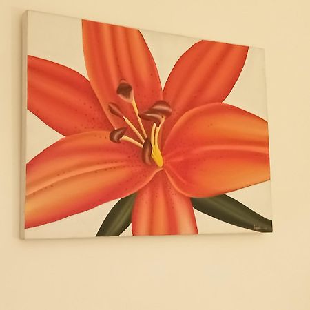 Appartement Croisette Sainte-Maxime Buitenkant foto